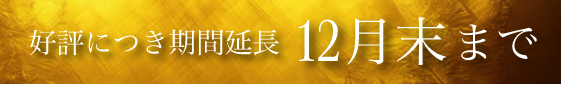 好評につき期間延長12月末まで